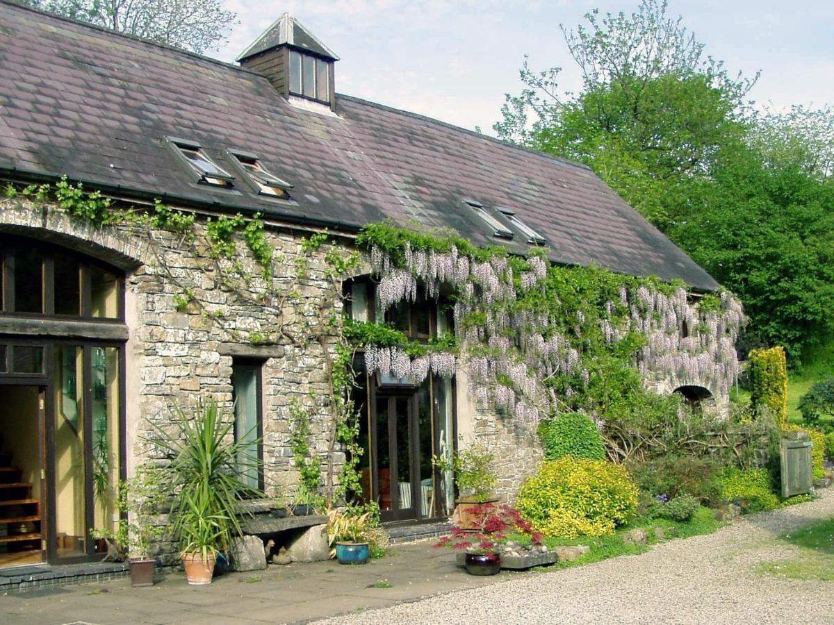 Ty Cefn Tregib B&B Llandeilo Buitenkant foto