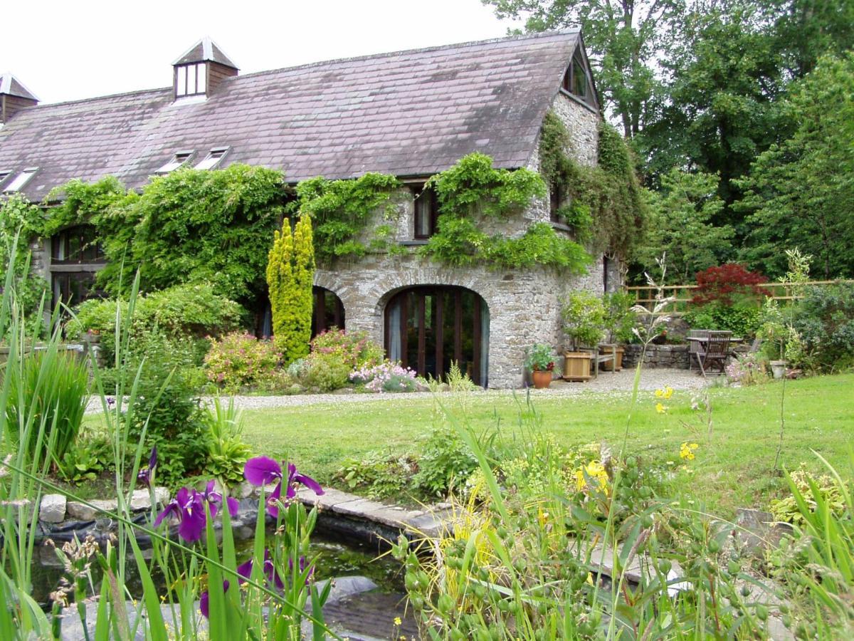 Ty Cefn Tregib B&B Llandeilo Buitenkant foto