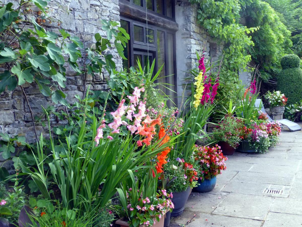 Ty Cefn Tregib B&B Llandeilo Buitenkant foto